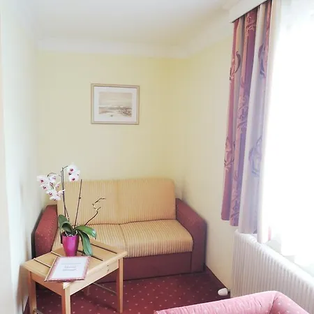 Hotel Binggl 4*