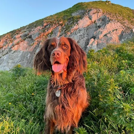 Binggl 4* Obertauern