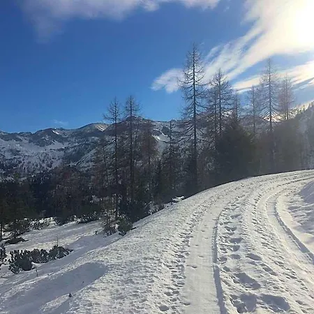 Binggl 4* Обертауерн