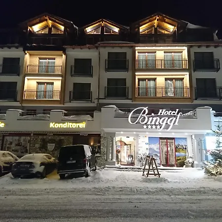 Hotel Binggl 4*